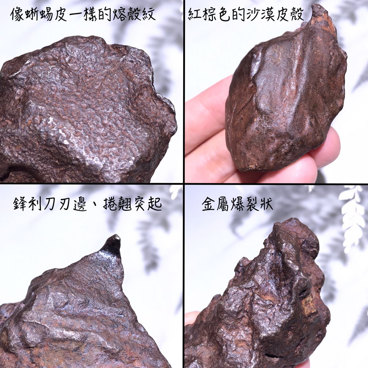 卡米爾隕石：一顆沒有維斯台登紋的鐵隕石